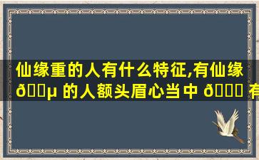 仙缘重的人有什么特征,有仙缘 🌵 的人额头眉心当中 🐋 有凹陷